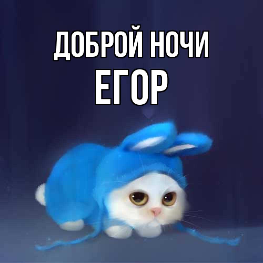 Открытка на каждый день с именем, Егор Доброй ночи кот в голубом костюме кролика с ушками Прикольная открытка с пожеланием онлайн скачать бесплатно 