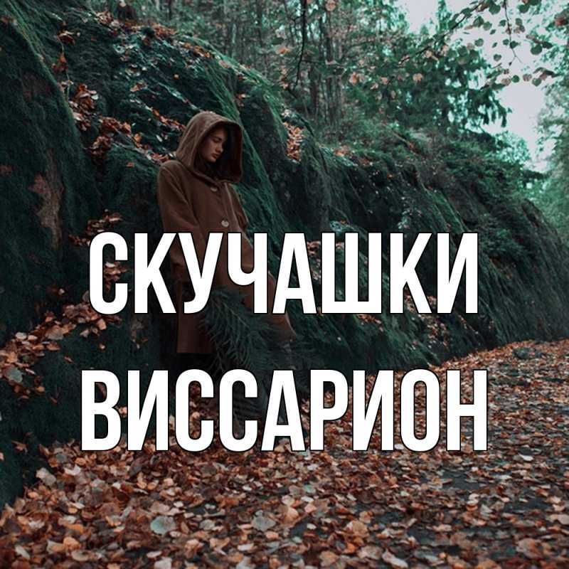 Картинка Скучашки, Виссарион