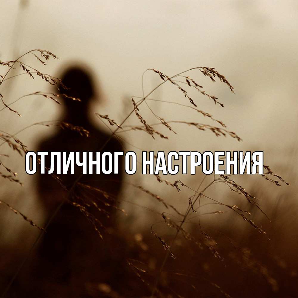 Открытка на каждый день с именем, Песподобная Скучашки силуэт девушки Прикольная открытка с пожеланием онлайн скачать бесплатно 