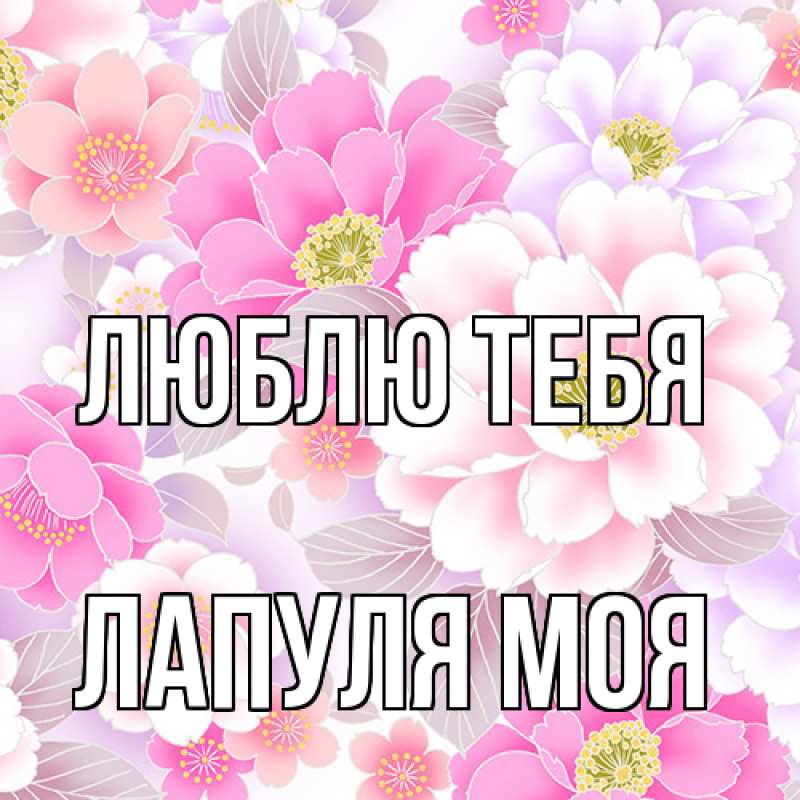 Картинка Люблю тебя, Лапуля моя