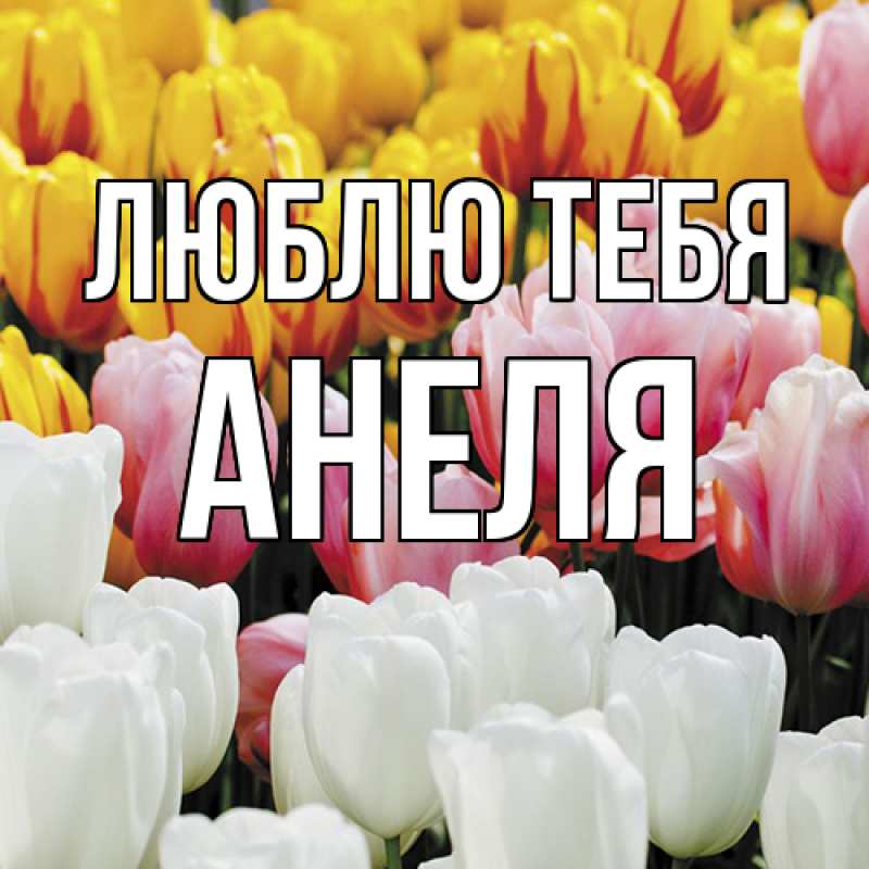 Картинка Люблю тебя, Анеля