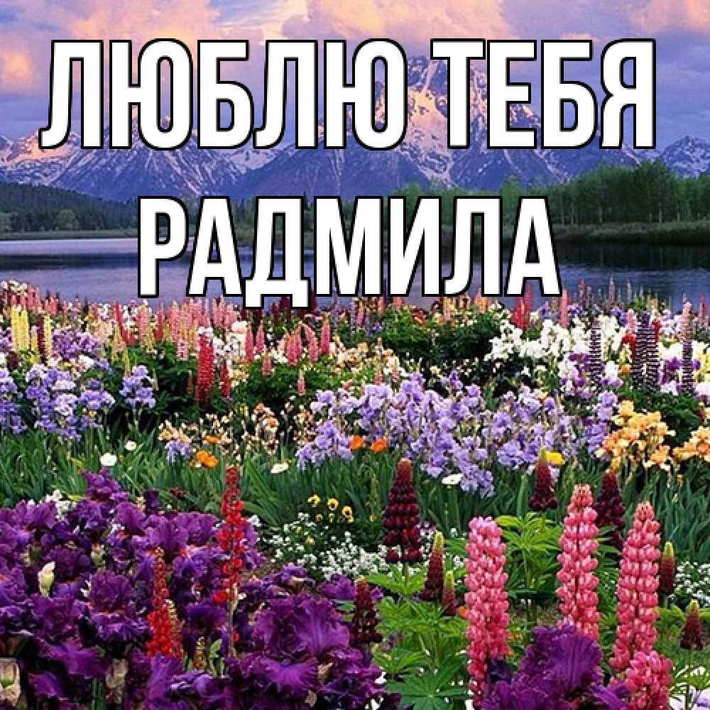 Открытка на каждый день с именем, Радмила Люблю тебя международный женский день Прикольная открытка с пожеланием онлайн скачать бесплатно 