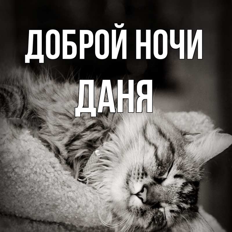 Картинка Доброй ночи, Даня