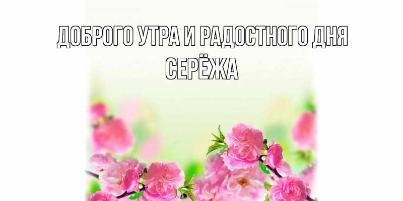 Картинка Доброго утра и радостного дня, Серёжа