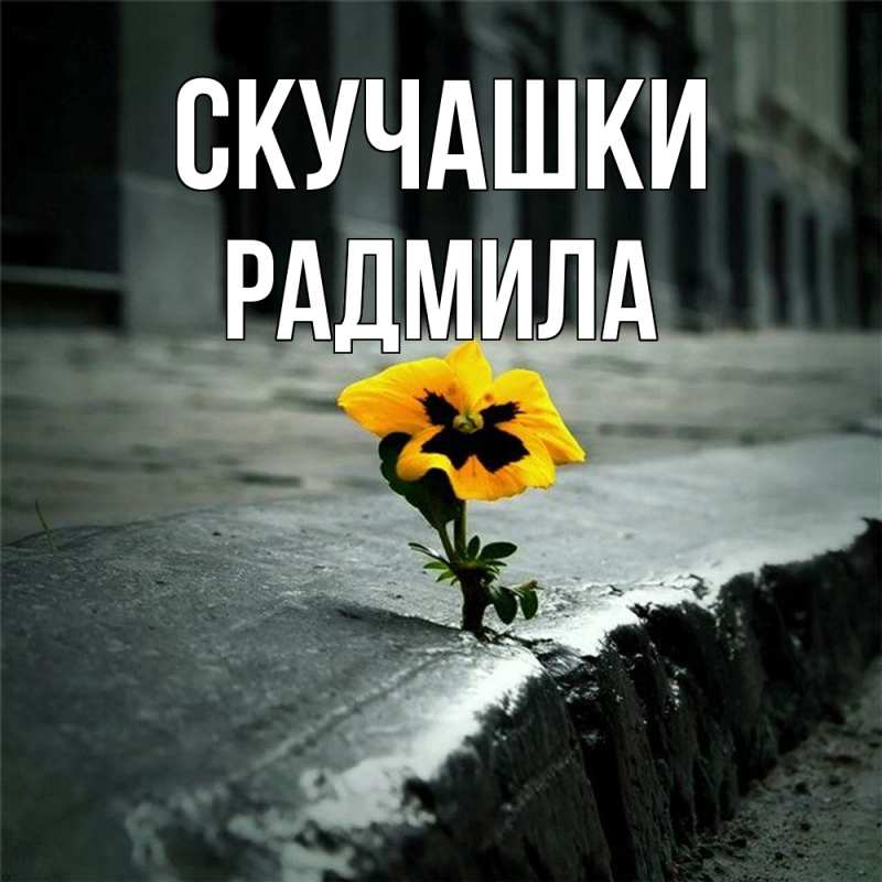 Картинка Скучашки, Радмила