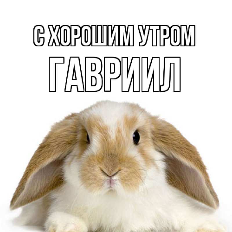 Картинка С хорошим утром, Гавриил
