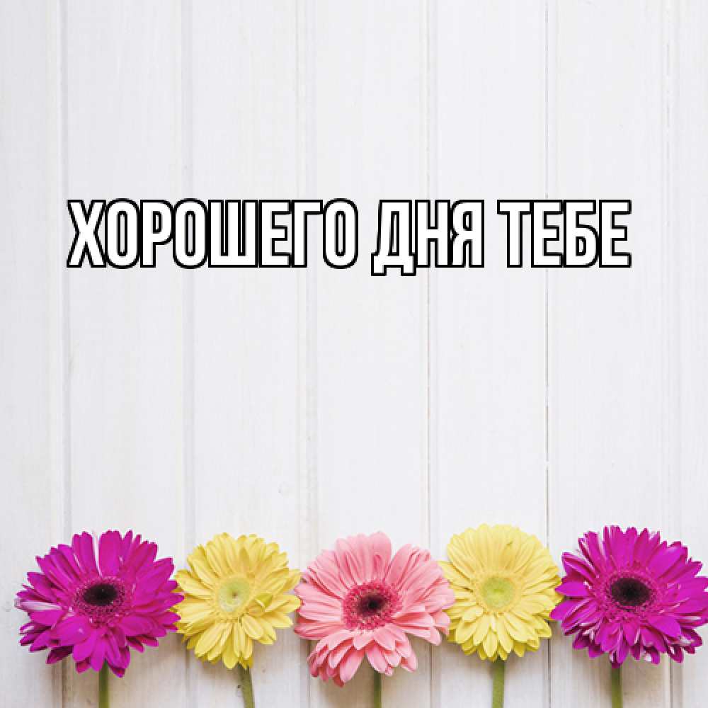 Открытка на каждый день с именем, Родной Люблю тебя женщинам 1 Прикольная открытка с пожеланием онлайн скачать бесплатно 