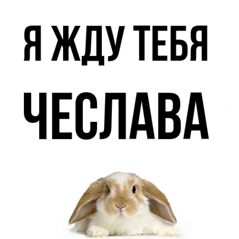 Открытка с именем, Чеслава, Я жду тебя