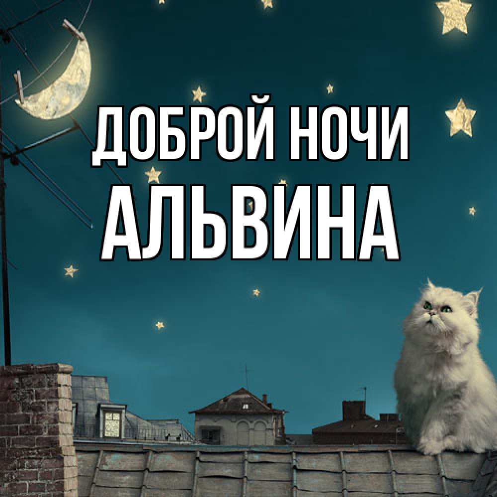 Открытка на каждый день с именем, Альвина Доброй ночи белый кот сидит на крыше Прикольная открытка с пожеланием онлайн скачать бесплатно 