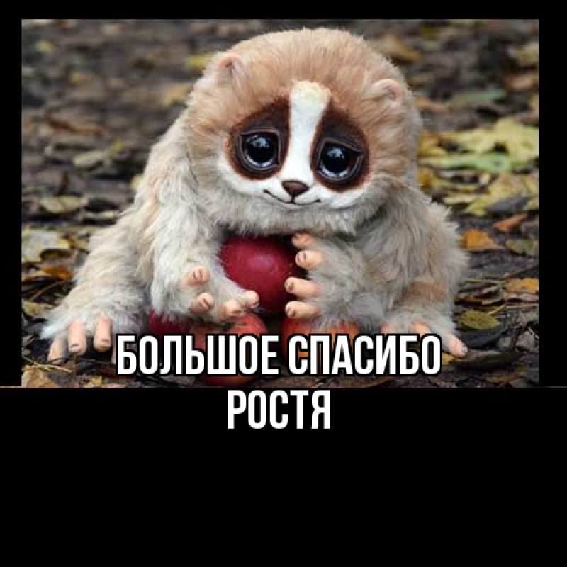 Картинка Большое спасибо, Ростя