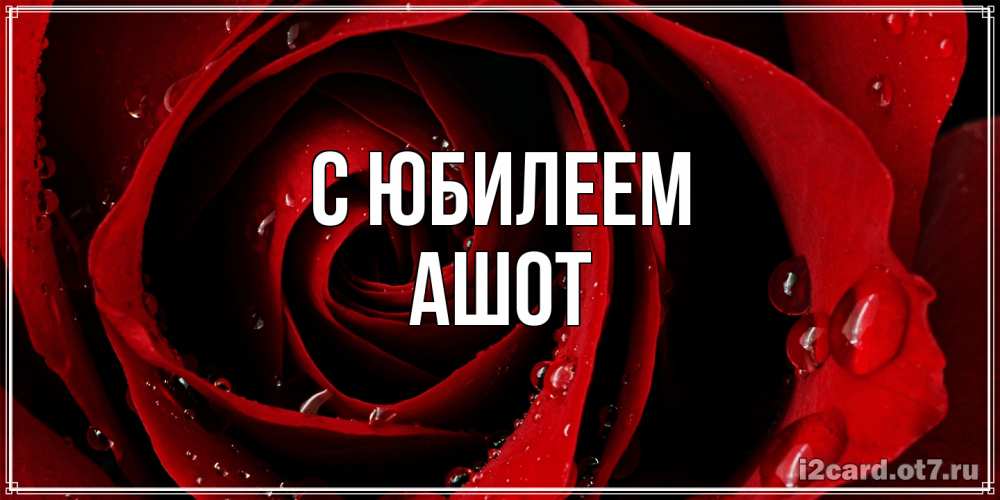Открытка на каждый день с именем, Ашот C юбилеем крупная бордовая роза Прикольная открытка с пожеланием онлайн скачать бесплатно 