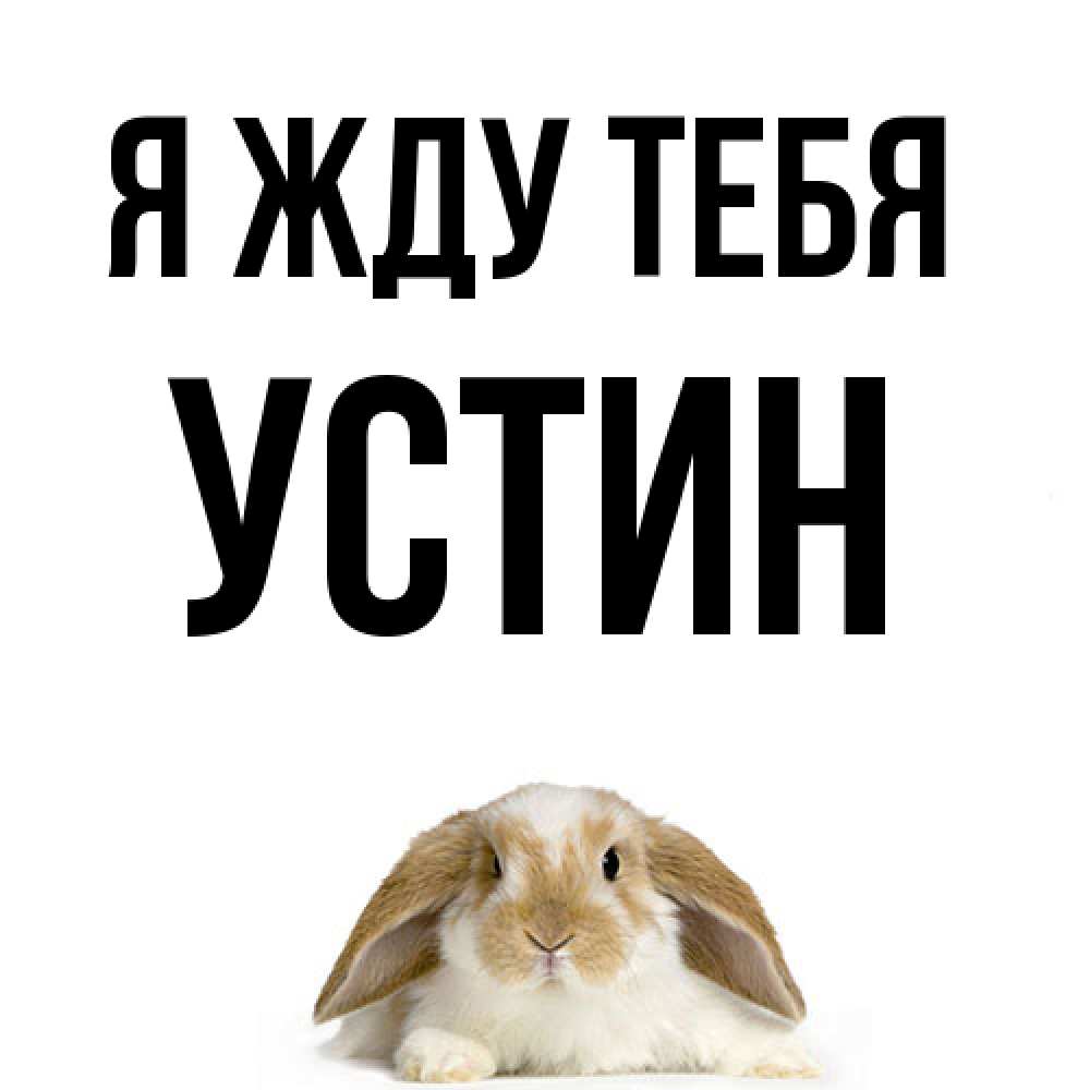 Открытка на каждый день с именем, Устин Я жду тебя подписать своими руками онлайн Прикольная открытка с пожеланием онлайн скачать бесплатно 