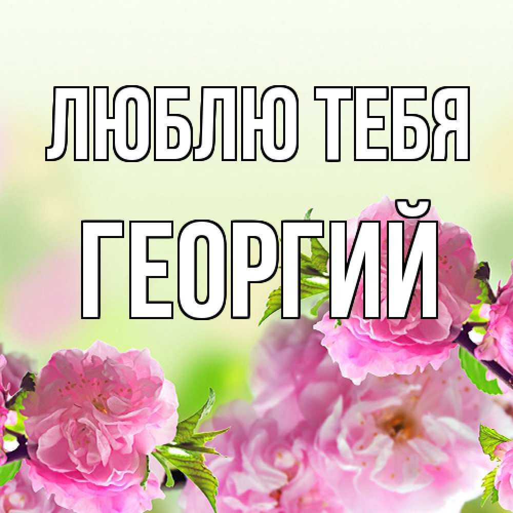 Открытка на каждый день с именем, Георгий Люблю тебя цветы Прикольная открытка с пожеланием онлайн скачать бесплатно 