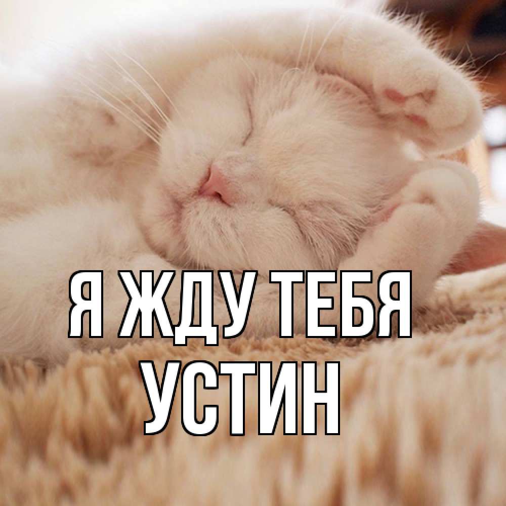 Открытка на каждый день с именем, Устин Я жду тебя для любимой девушки милота Прикольная открытка с пожеланием онлайн скачать бесплатно 