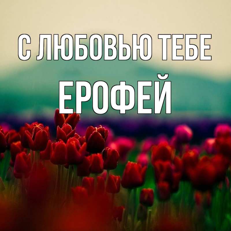 Картинка С любовью тебе, Ерофей