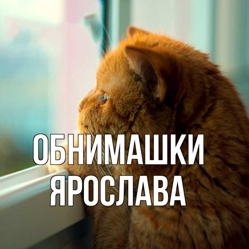 Картинка Обнимашки, Ярослава