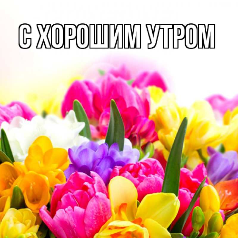 Картинка Люблю тебя, Таня