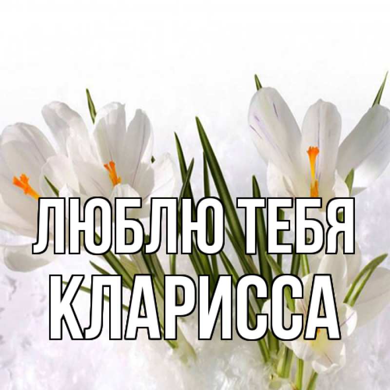 Картинка Люблю тебя, Кларисса