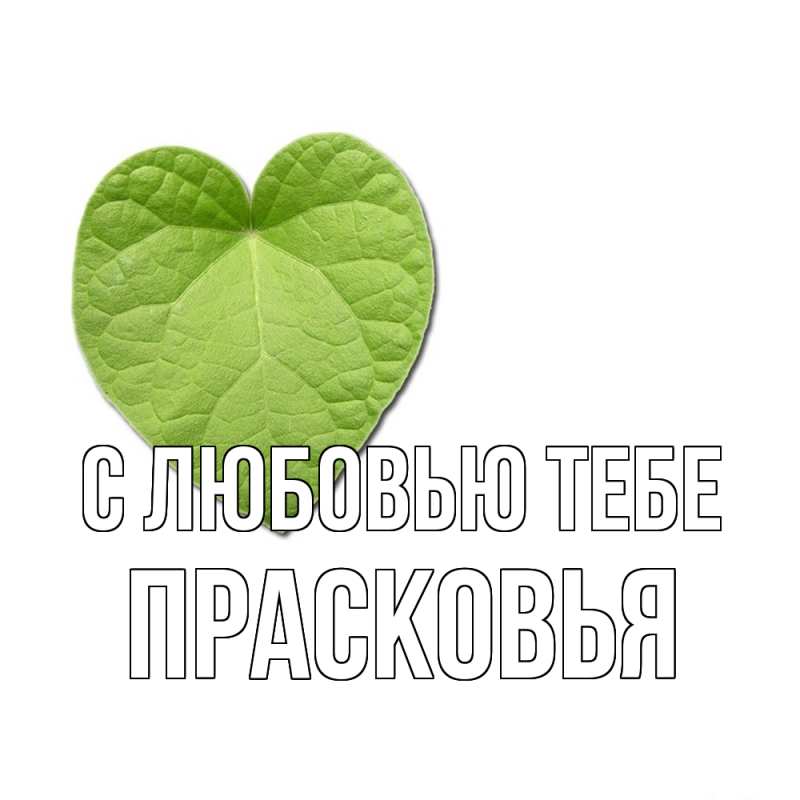 Картинка С любовью тебе, Прасковья