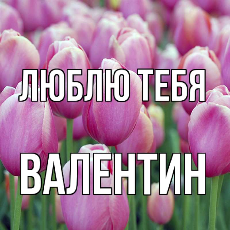 Картинка Люблю тебя, Валентин