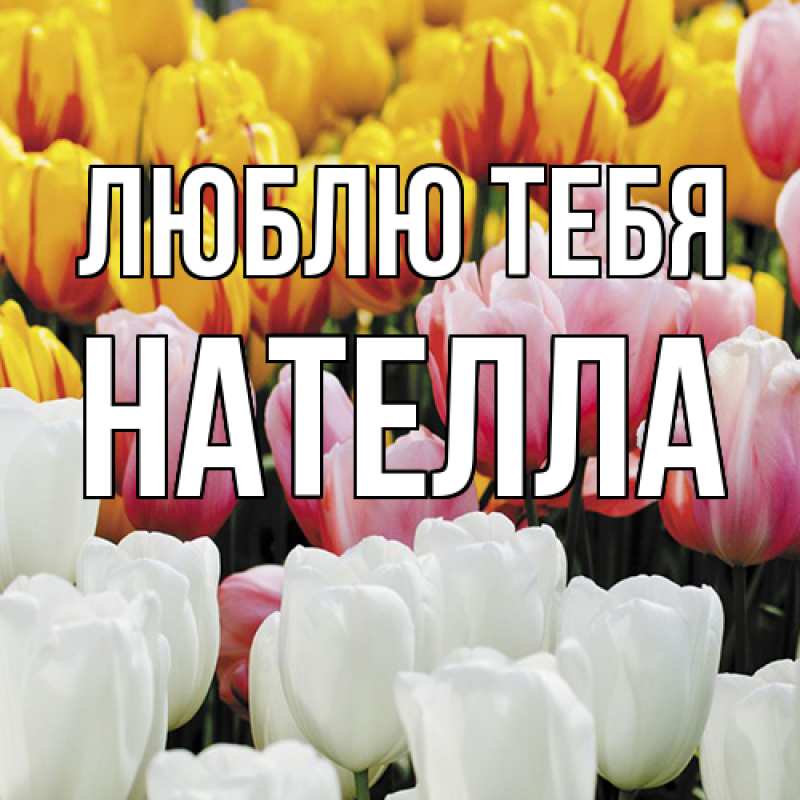 Картинка Люблю тебя, Нателла