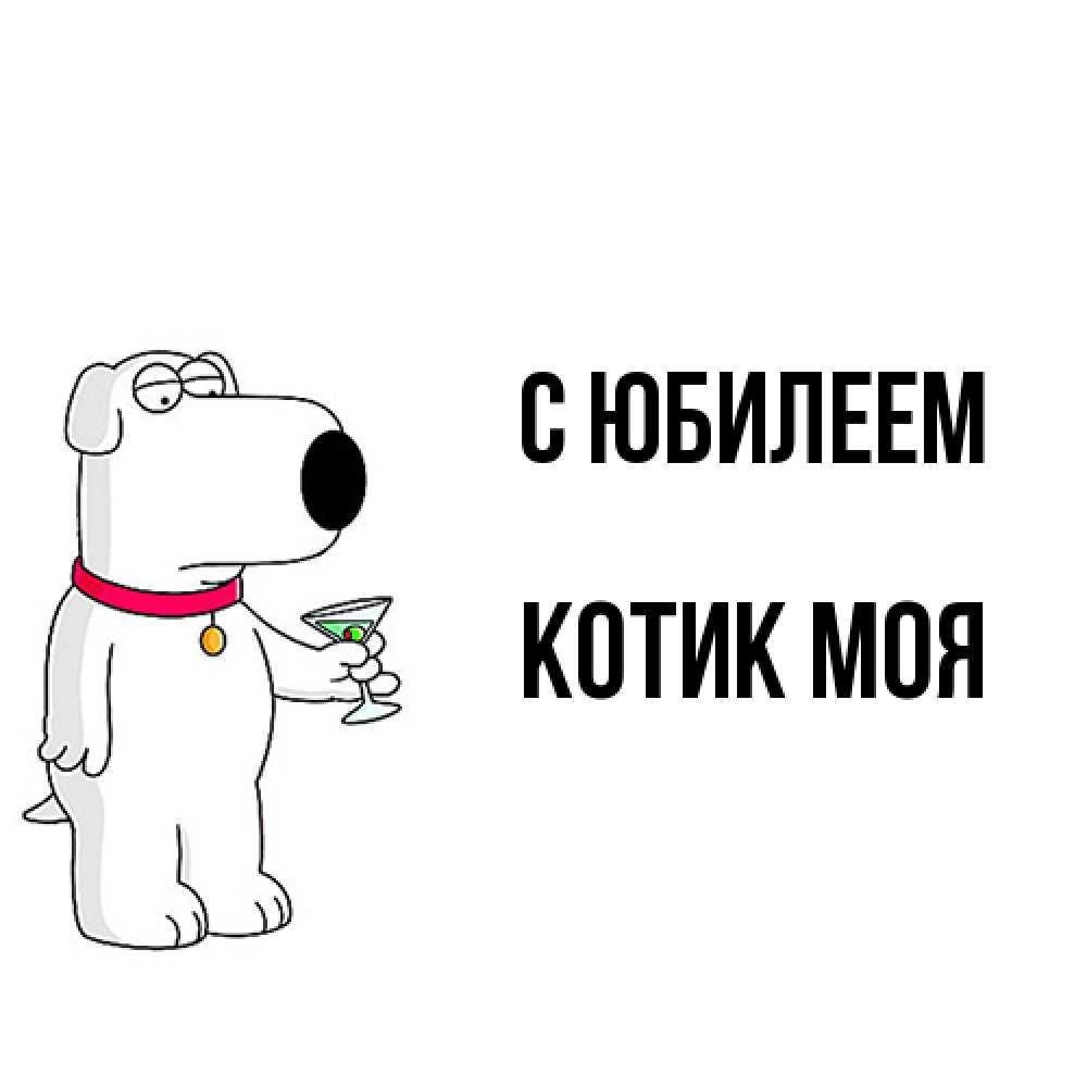 Открытка на каждый день с именем, Котик-моя C юбилеем песик с оливками Прикольная открытка с пожеланием онлайн скачать бесплатно 