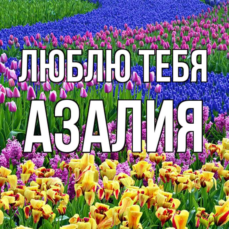 Открытка с именем, Азалия, Люблю тебя