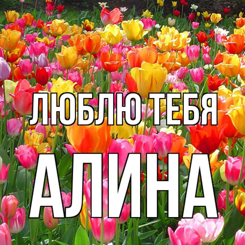 Картинка Люблю тебя, Алина