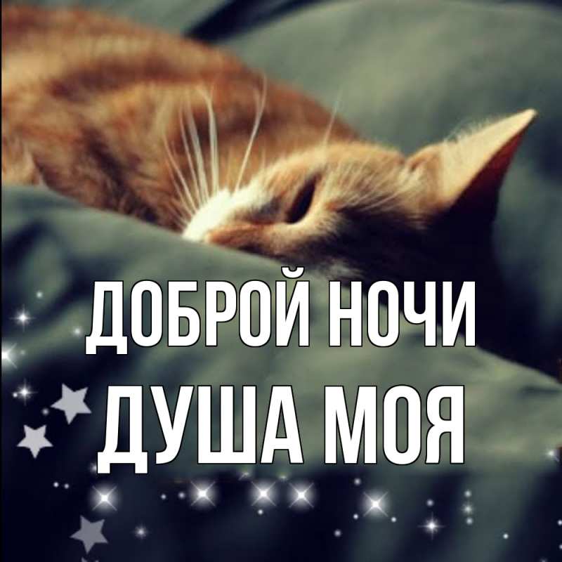 Картинка Доброй ночи, Душа моя