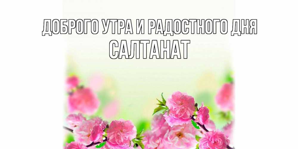 Открытка на каждый день с именем, Салтанат Доброго утра и радостного дня цветы Прикольная открытка с пожеланием онлайн скачать бесплатно 