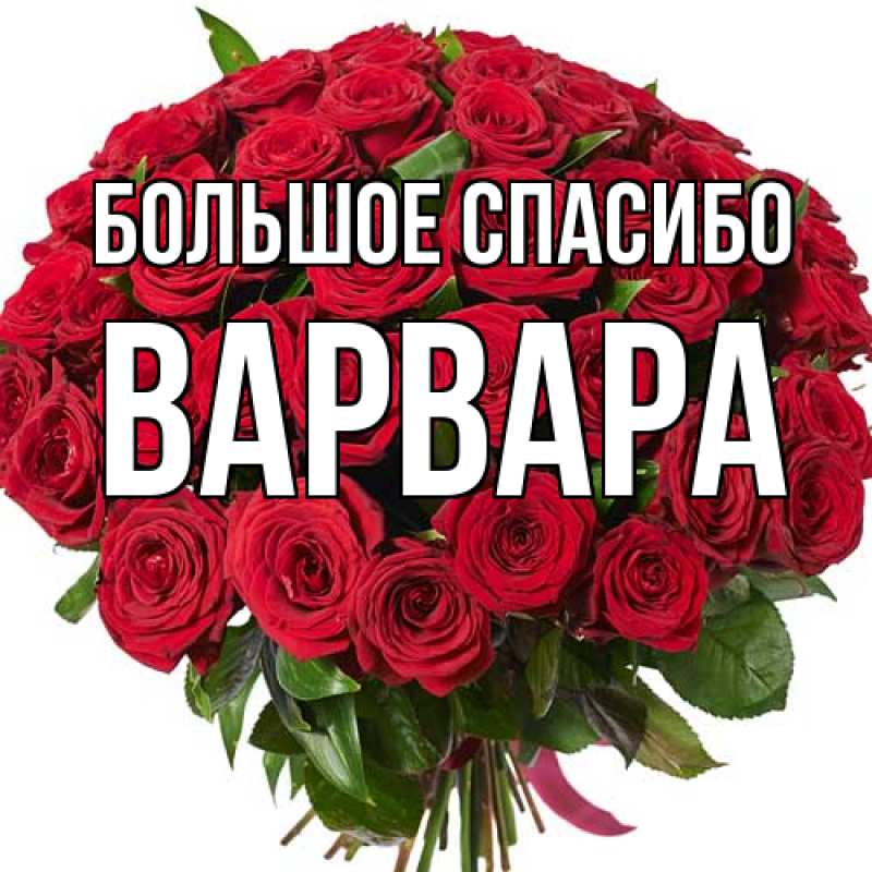 Картинка Большое спасибо, Варвара