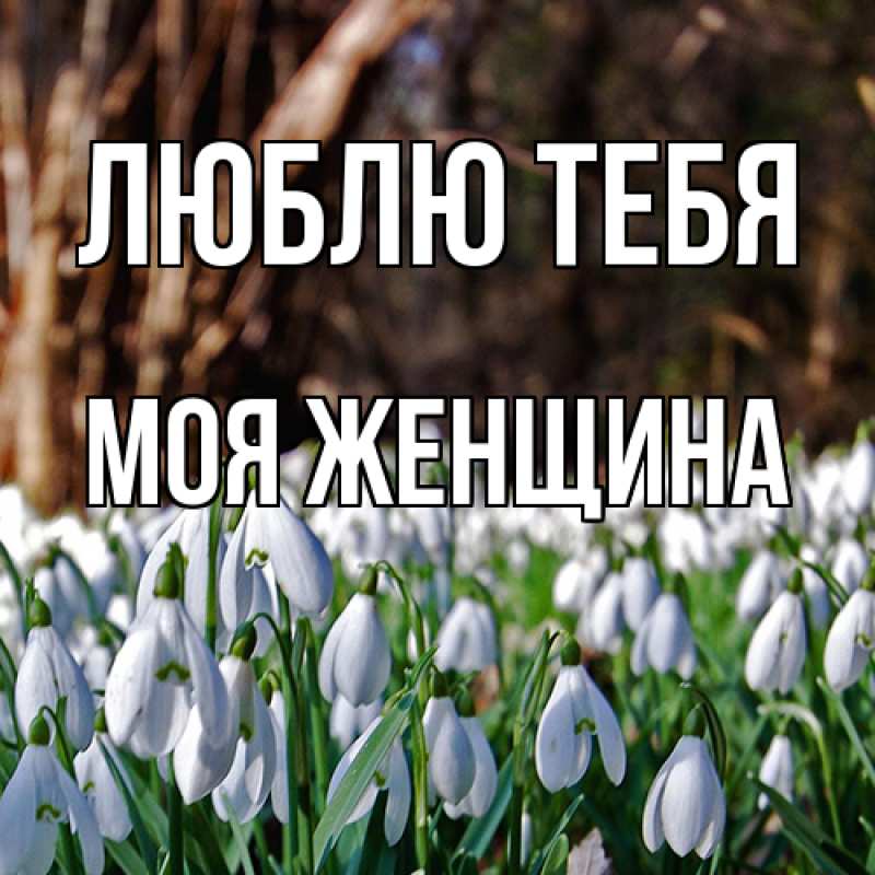Картинка Люблю тебя, Моя женщина