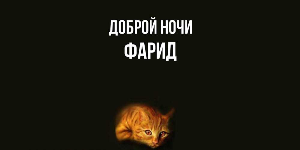 Открытка на каждый день с именем, Фарид Доброй ночи кот Прикольная открытка с пожеланием онлайн скачать бесплатно 