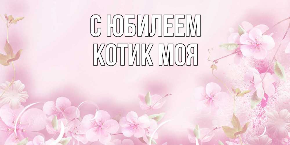 Открытка на каждый день с именем, Котик-моя C юбилеем нежные цветы Прикольная открытка с пожеланием онлайн скачать бесплатно 