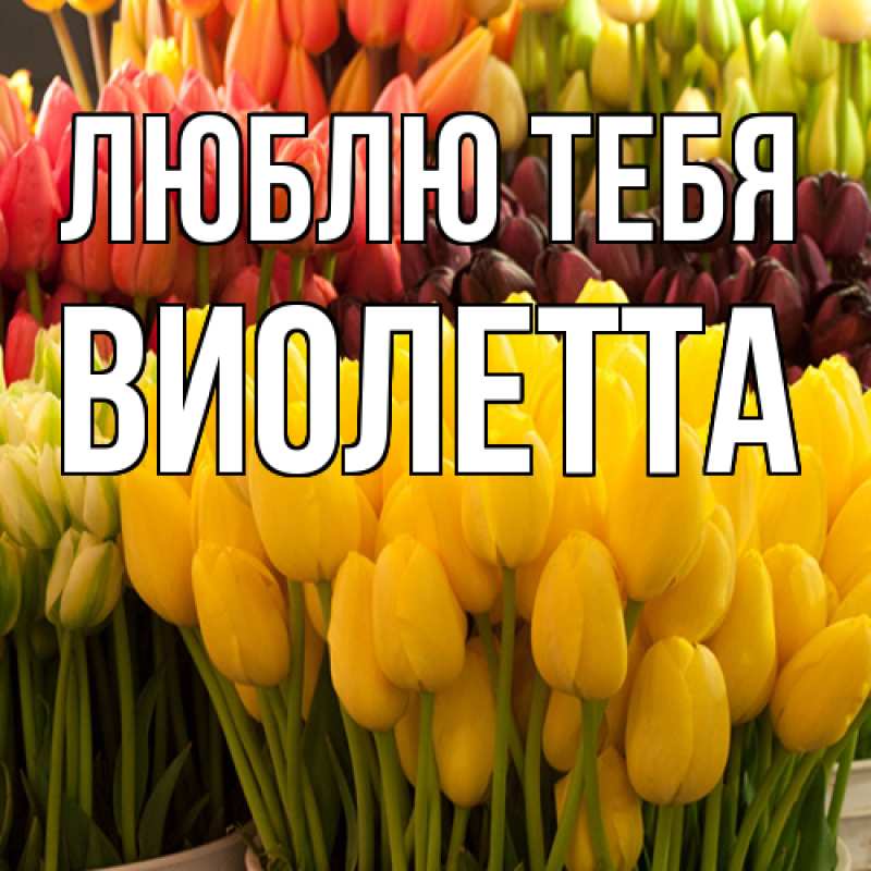 Картинка Люблю тебя, Виолетта