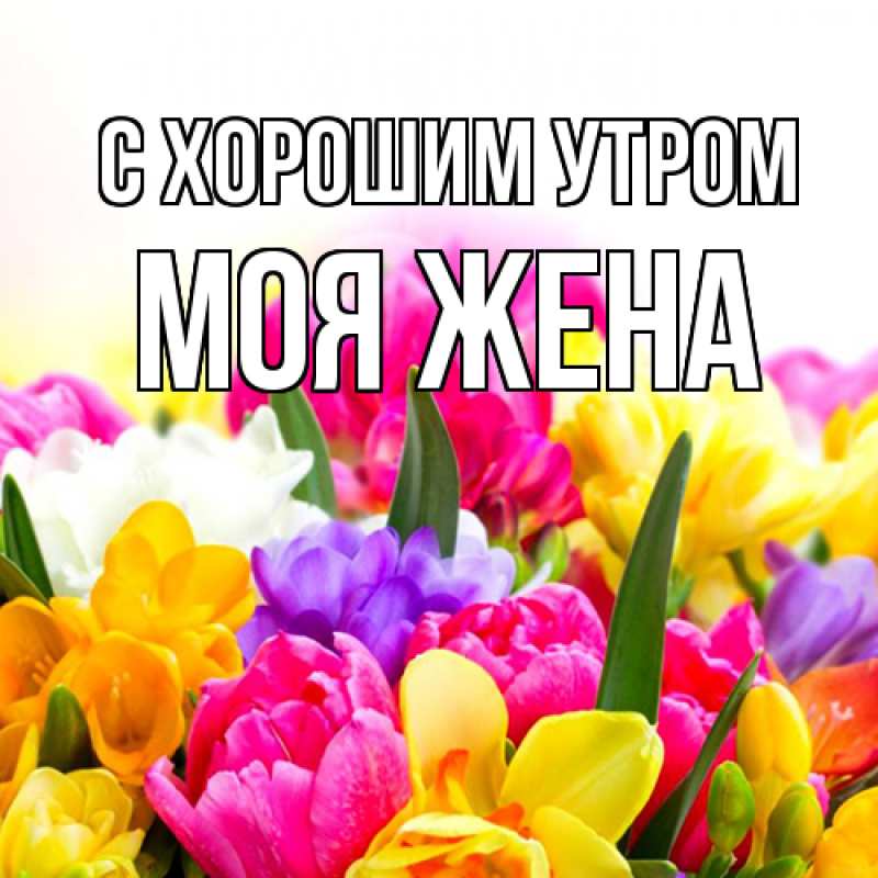 Открытка с именем, Моя жена, С хорошим утром