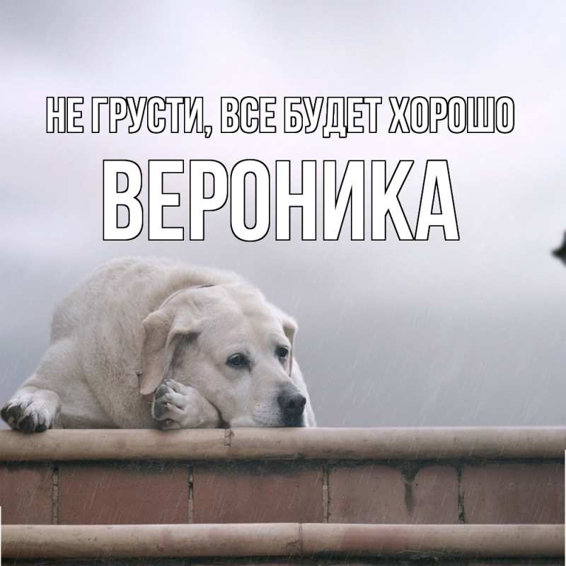 Картинка Не грусти, все будет хорошо, Вероника