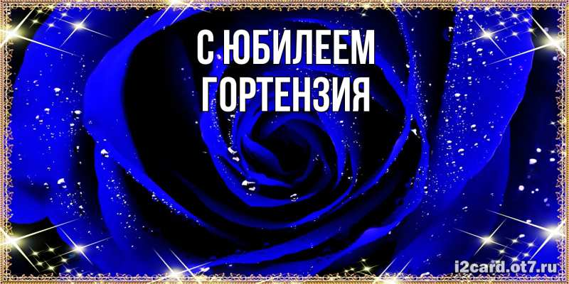 Картинка C юбилеем, Гортензия