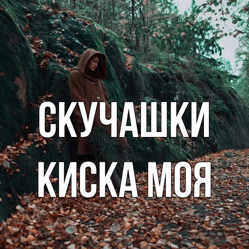 Картинка Скучашки, Киска моя