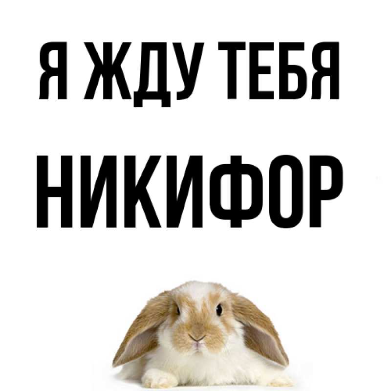 Открытка с именем, Никифор, Я жду тебя