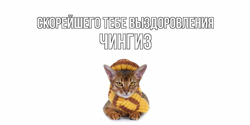 Открытка на каждый день с именем, Чингиз Скорейшего тебе выздоровления родные не болейте Прикольная открытка с пожеланием онлайн скачать бесплатно 