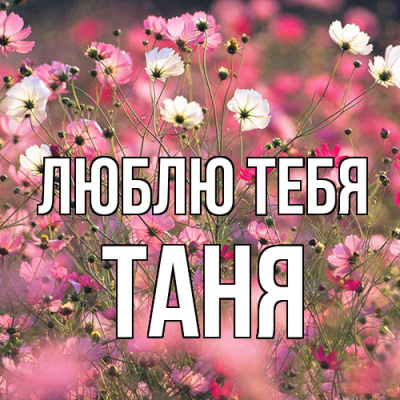 Картинка Люблю тебя, Таня