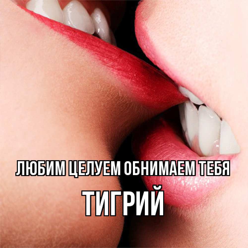 Открытка на каждый день с именем, Тигрий Любим целуем обнимаем тебя поцелуй открытки бесплатно Прикольная открытка с пожеланием онлайн скачать бесплатно 