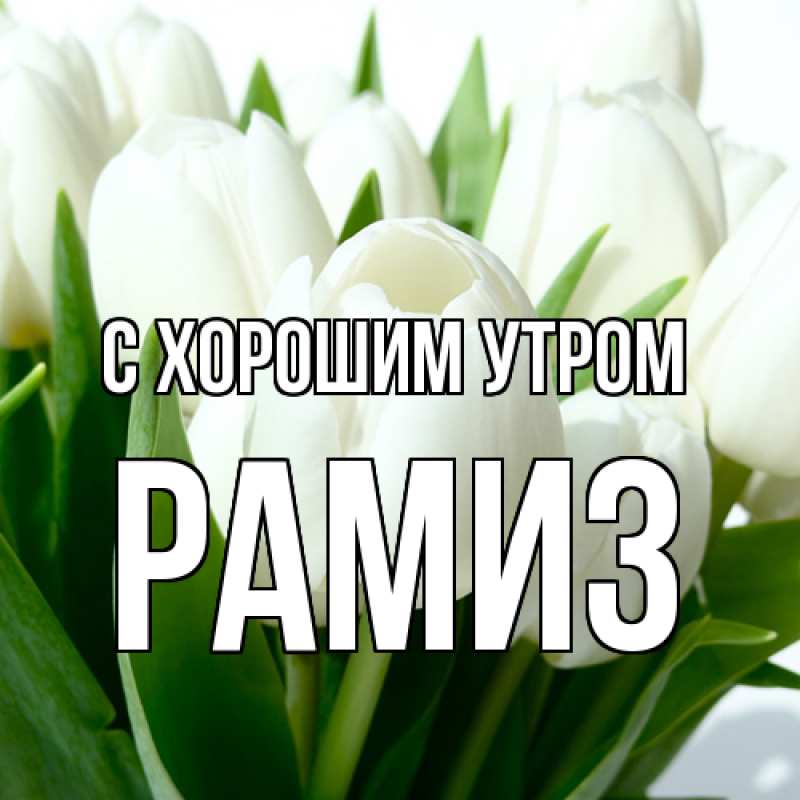 Картинка С хорошим утром, Рамиз