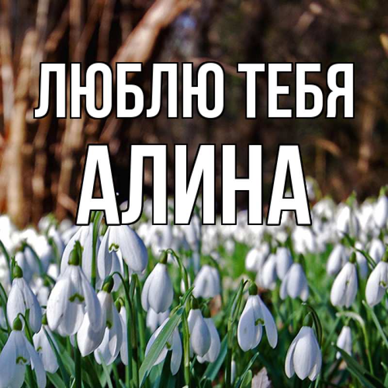 Картинка Люблю тебя, Алина