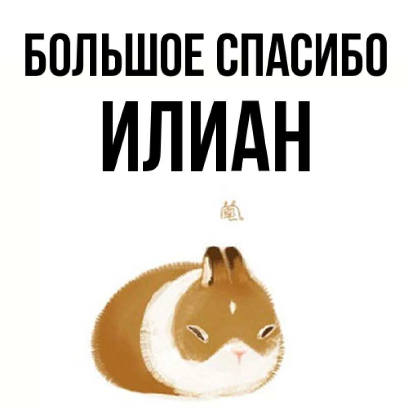 Картинка Большое спасибо, Илиан