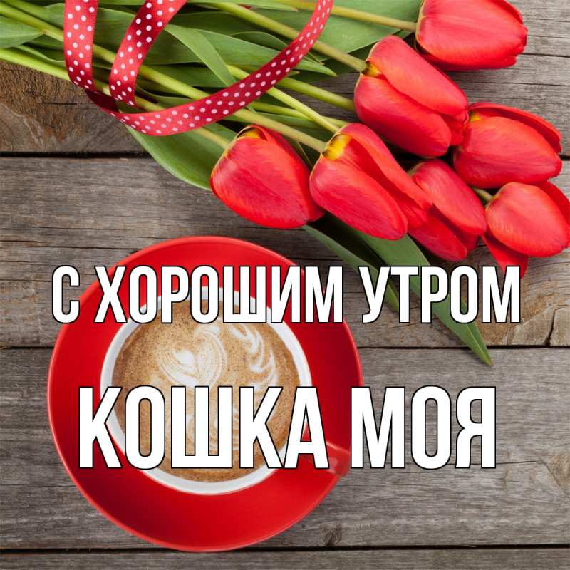 Картинка С хорошим утром, Кошка моя