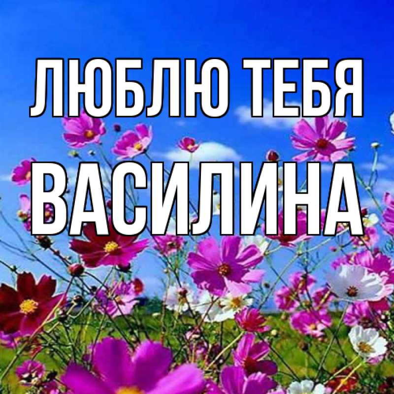 Картинка Люблю тебя, Василина