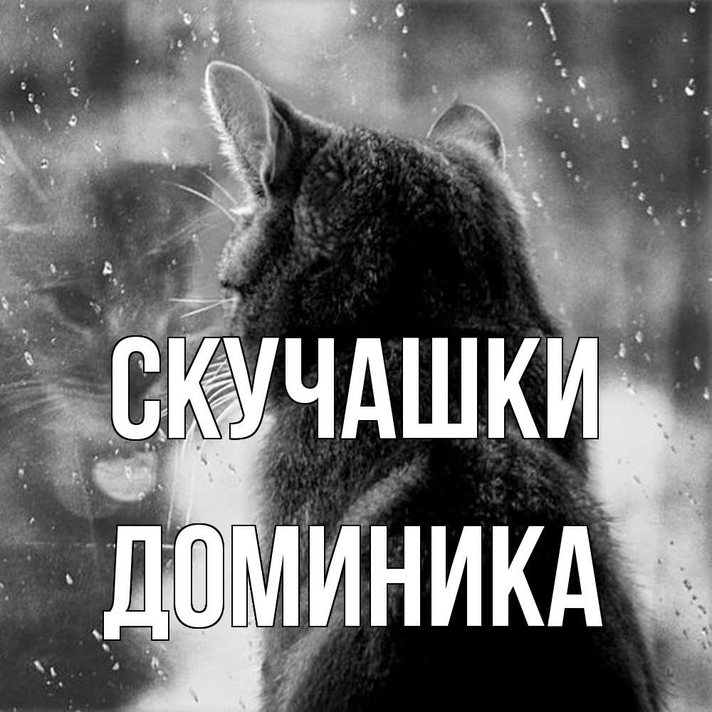 Открытка на каждый день с именем, Доминика Скучашки скорее ко мне приходи 1 Прикольная открытка с пожеланием онлайн скачать бесплатно 