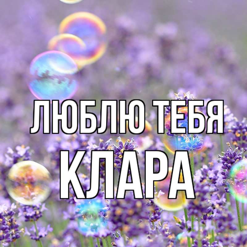 Картинка Люблю тебя, Клара